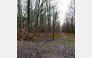 ENTRAINEMENT EN COMMUN LE 15 FEVRIER 2026